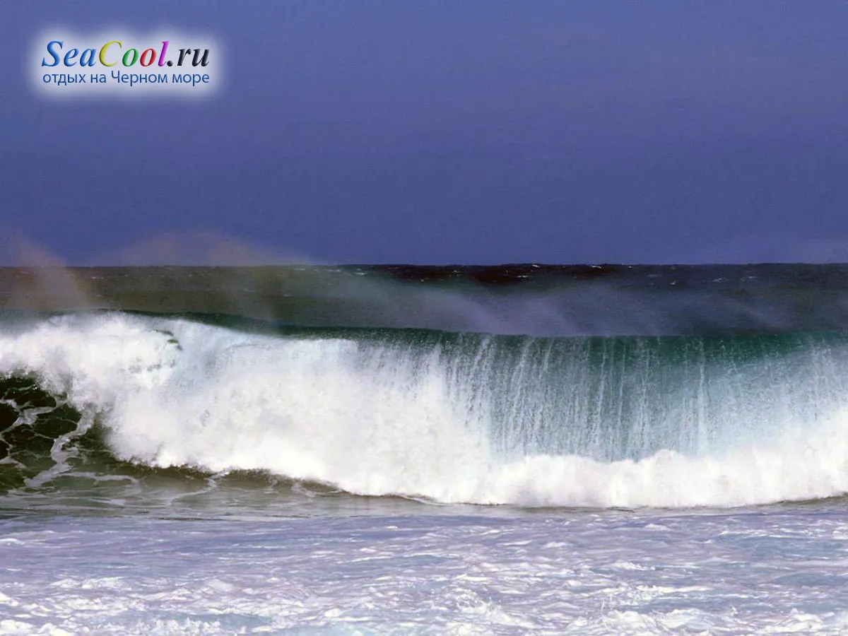 Проверенные площадки для выбора сопровождающего